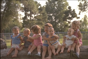 9400 0663 family, japanIMG0015.jpg